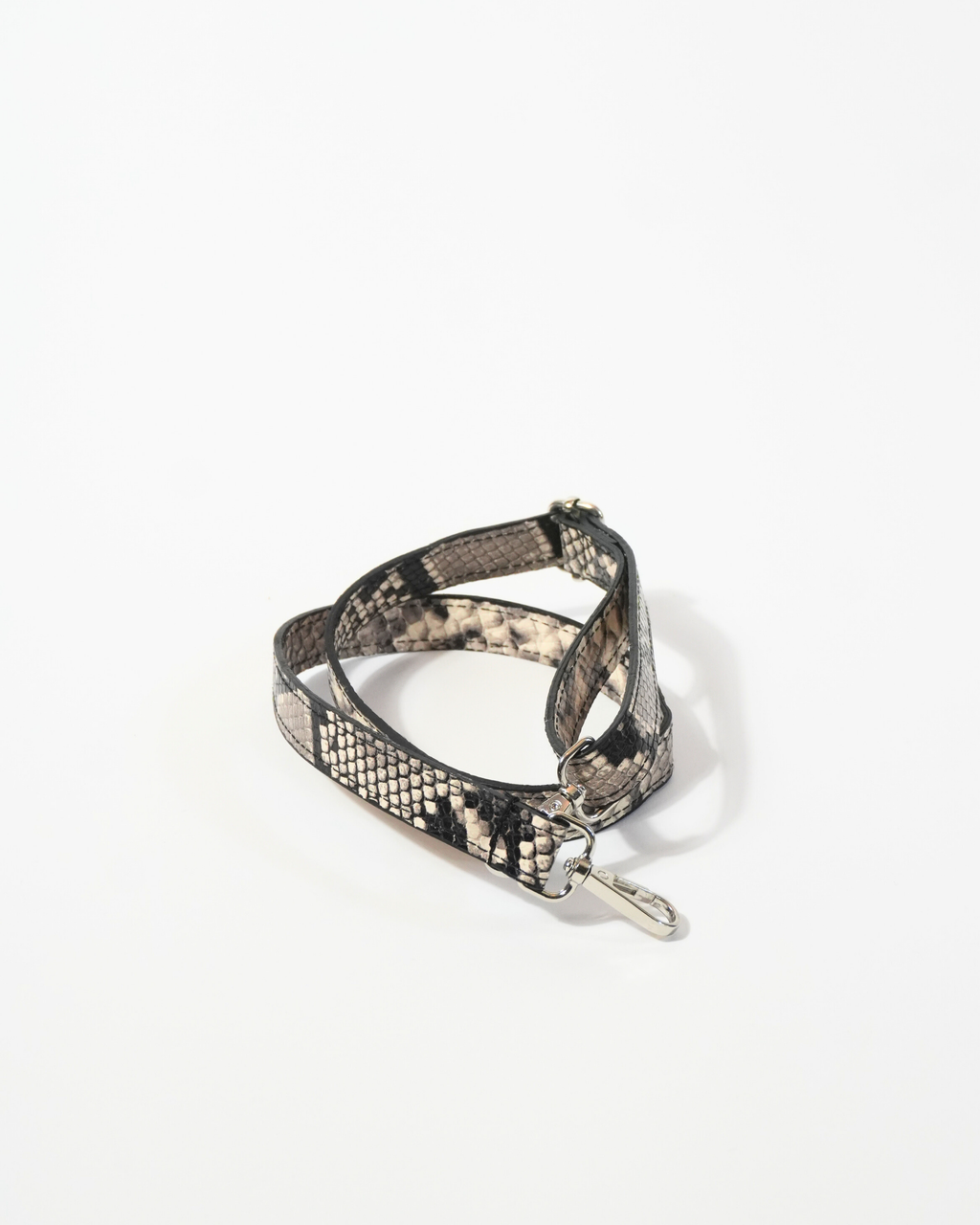Gambetta Python Craie Fauve