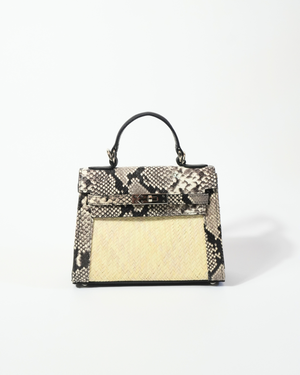 Gambetta Python Craie Fauve
