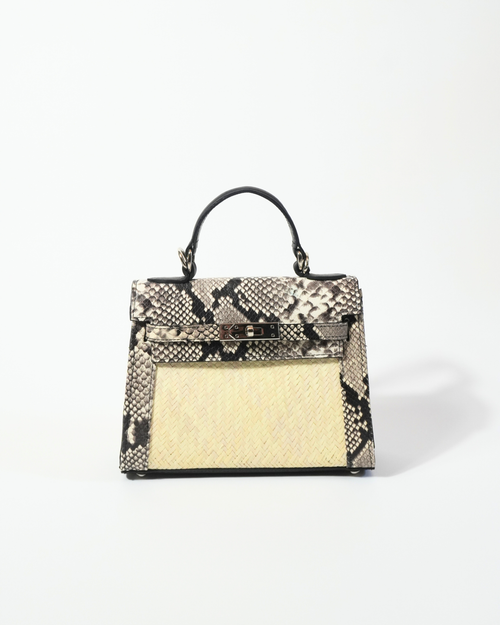 Gambetta Python Craie Fauve