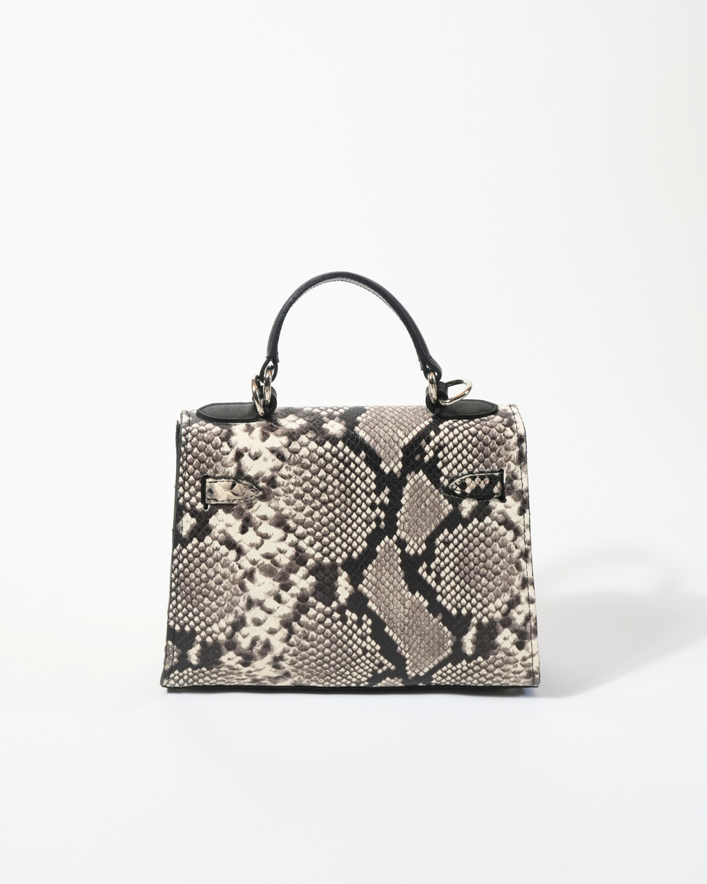 Gambetta Python Craie Fauve