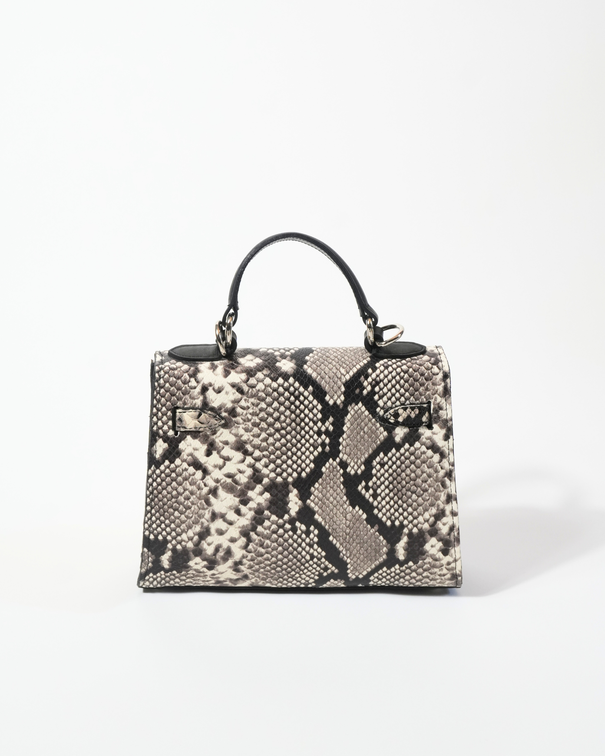 Gambetta Python Craie Fauve